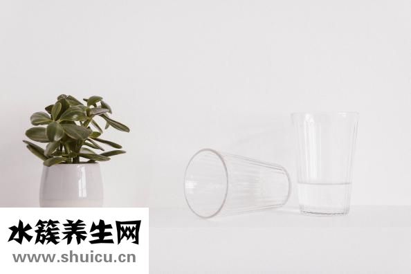 各种茶的作用与功效