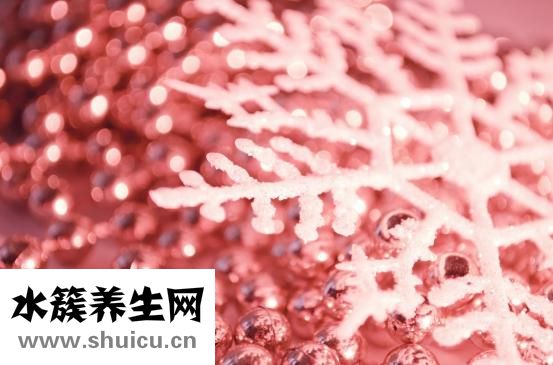 消化酶胶囊