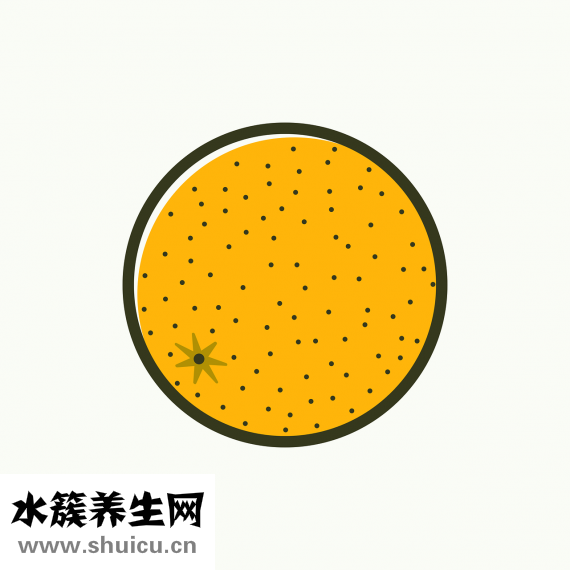 一杯豆浆多少毫升
