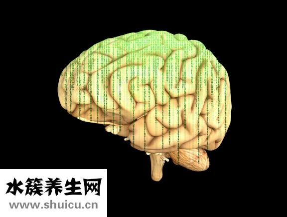 田七和三七一样吗
