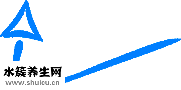 乳房下垂手术