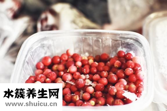 山乌龟图片