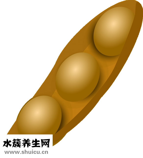 五香干豆腐