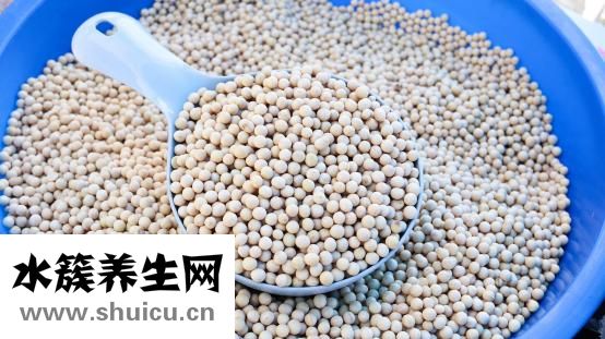 五香干豆腐
