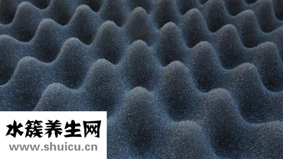 流质食物食谱大全
