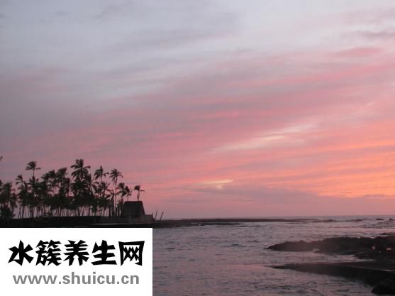 盐酸特比萘芬片