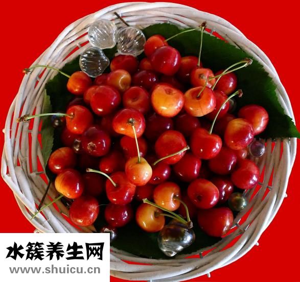 怎样护肝养肝