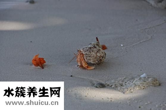 验血能查出什么