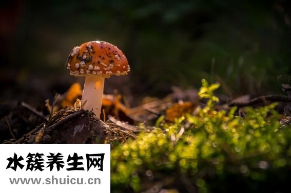 八宝菜的做法