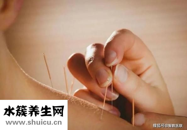 针灸减肥食谱