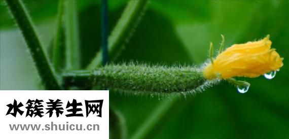 什么面膜补水效果好