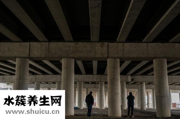 湿气重会怎么样