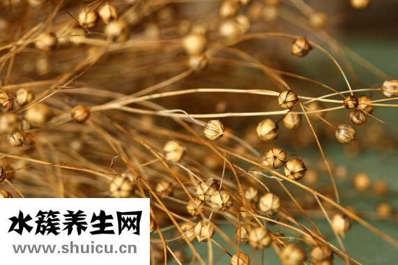 亚麻籽油如何食用（亚麻籽油能直接吃吗）