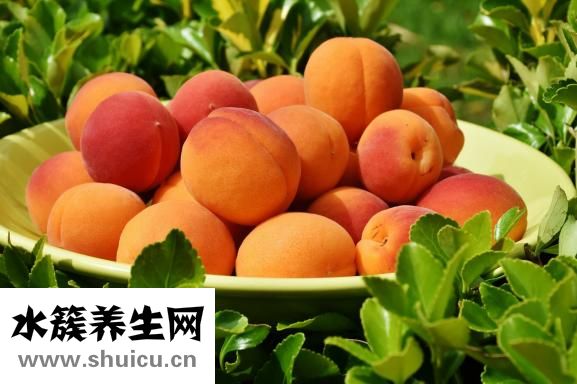 吃草莓可以减肥吗