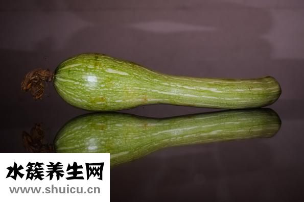 素炒西葫芦