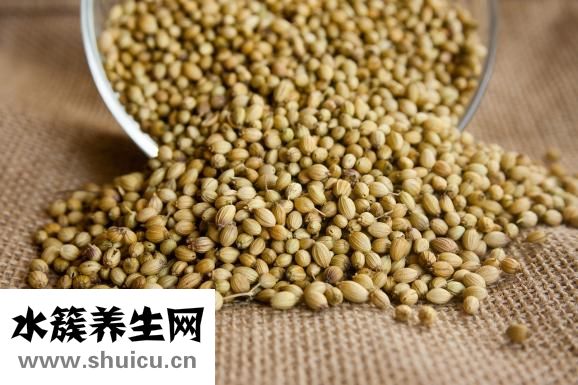 什么汤最鲜