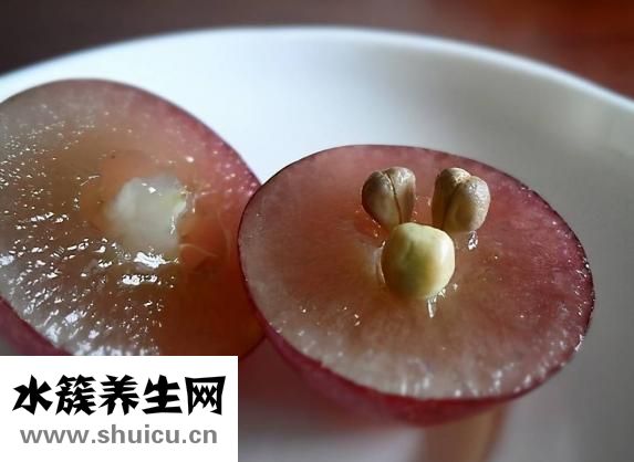 珍珠奶茶配方