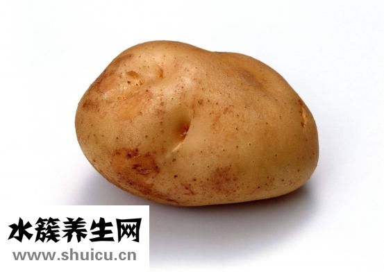 素炒西葫芦