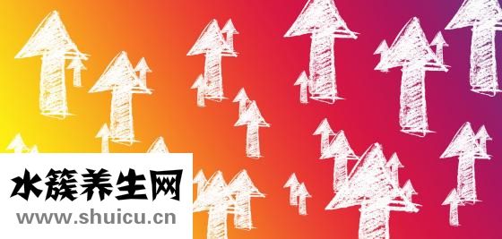 四维几个月照