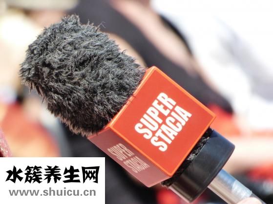 低热量食物排行榜
