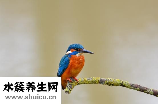 手术拆线痛不痛