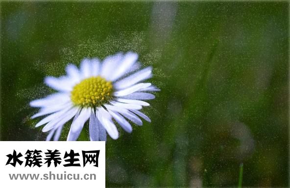 过敏了吃什么药