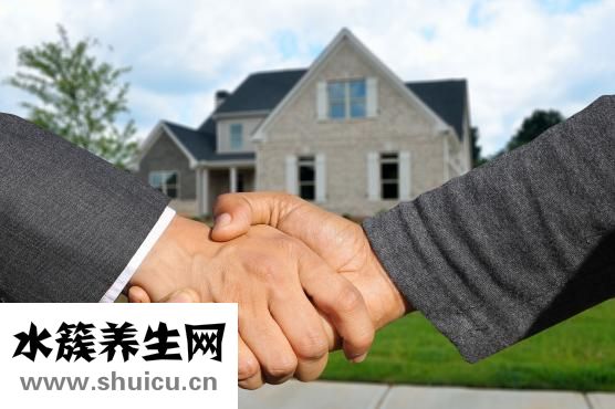 五指毛桃根（五指毛桃根的功效）