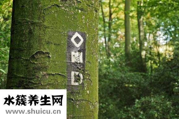 核辐射对人的伤害