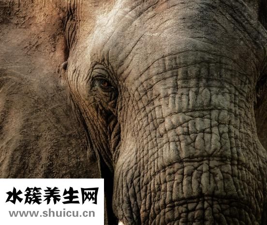 眼部皱纹怎么去除