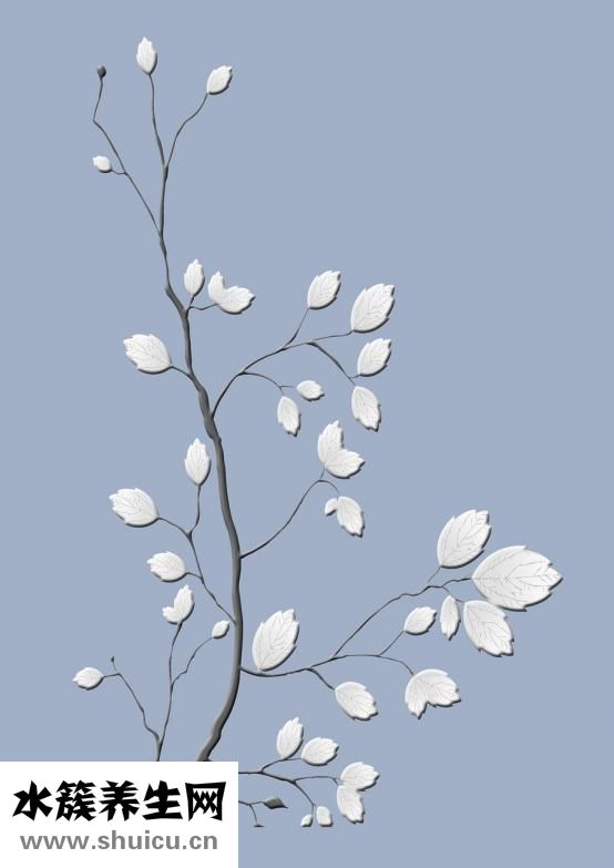 下颚关节炎