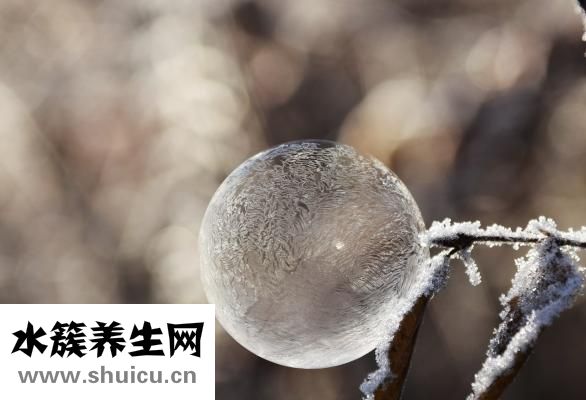 体寒吃什么