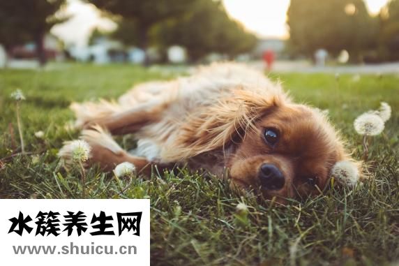 湿疹图片初期症状