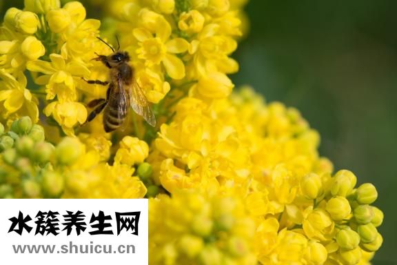 怎样去咖啡斑