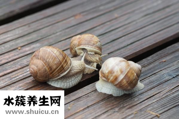 粘液性肿瘤