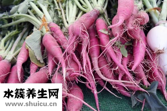 高蛋白的食物