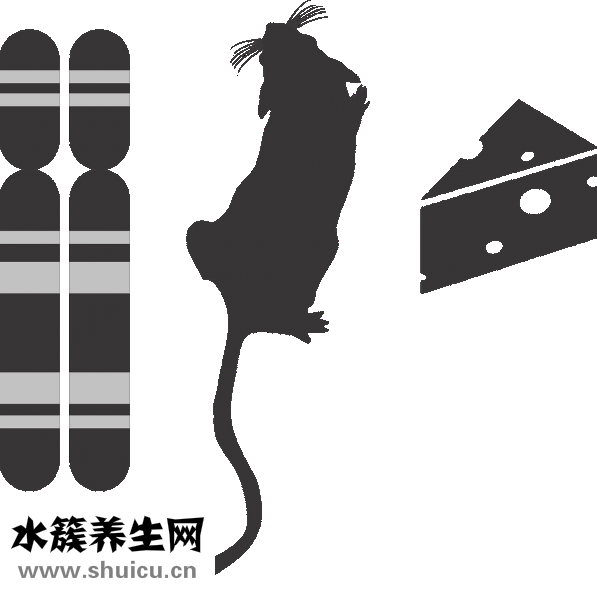 胃有点胀气怎么办