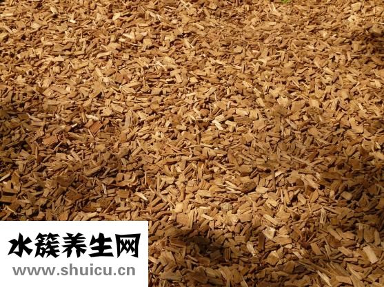 洋葱怎么切丝
