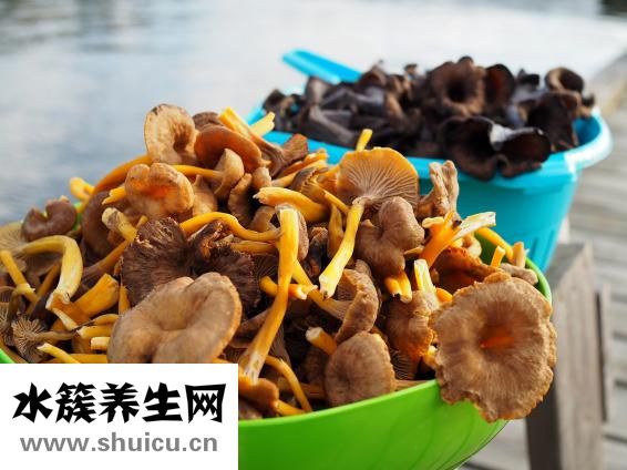 腰椎突出治疗方法（腰椎操10个动作）