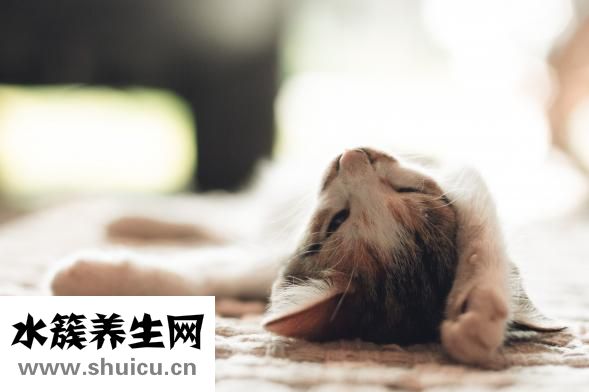 性生活可以减肥吗