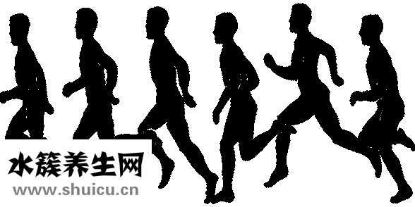 体脂率在线计算器（体脂率测量仪准）