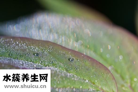 一直打喷嚏流鼻涕