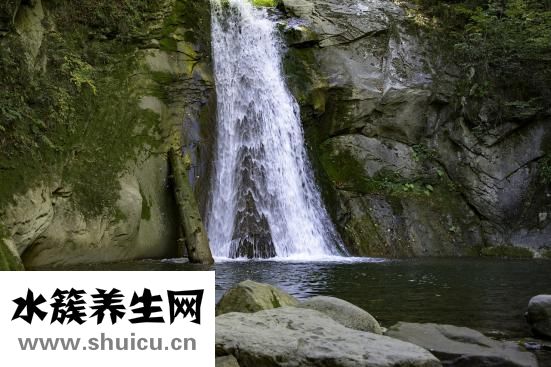 醒脑牛黄清心片