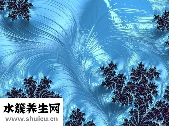 胃食道反流