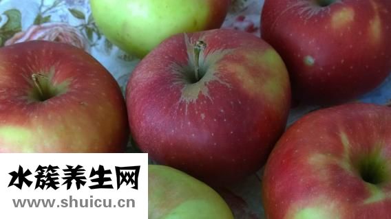 生菜的热量
