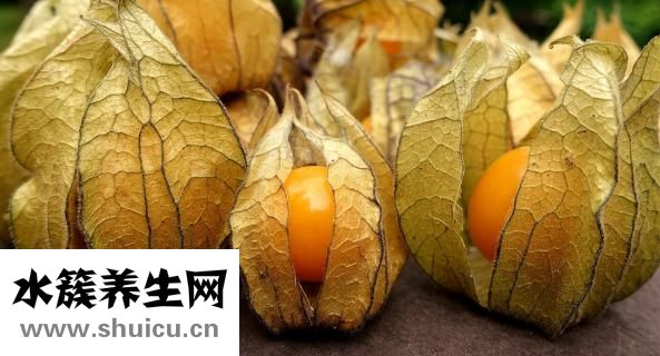 胃胀吃什么（胃胀吃什么食物可以缓解）