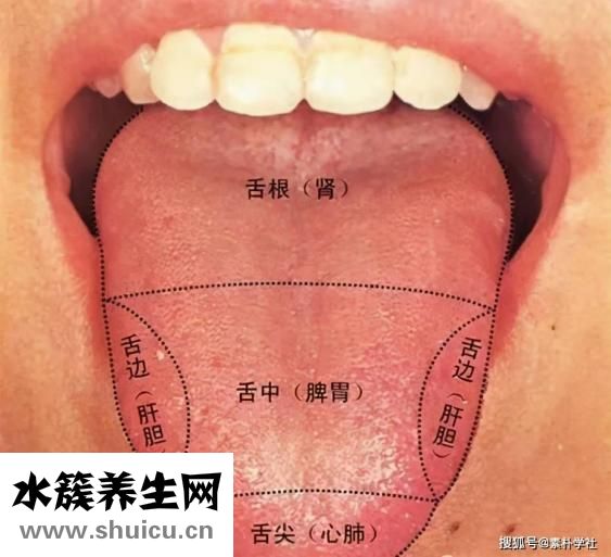 舌头被烫了怎么办