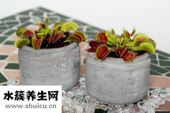 灭蚊灯效果