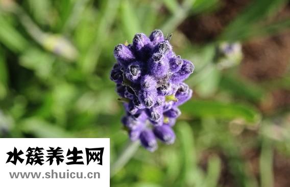 医用防护口罩标准