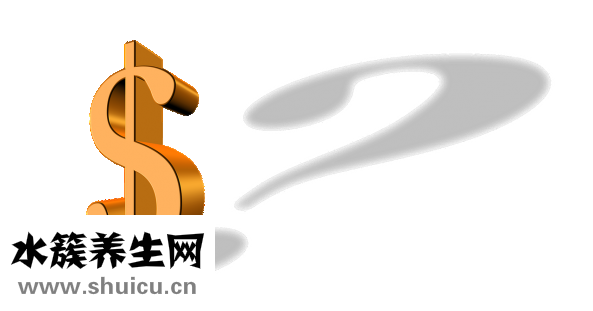 升血小板胶囊