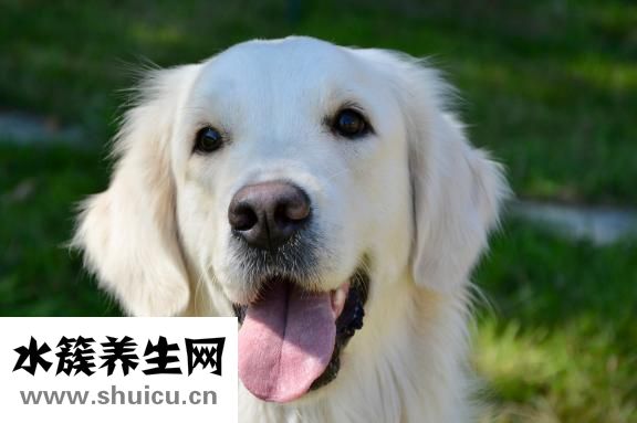 腰椎穿刺疼吗